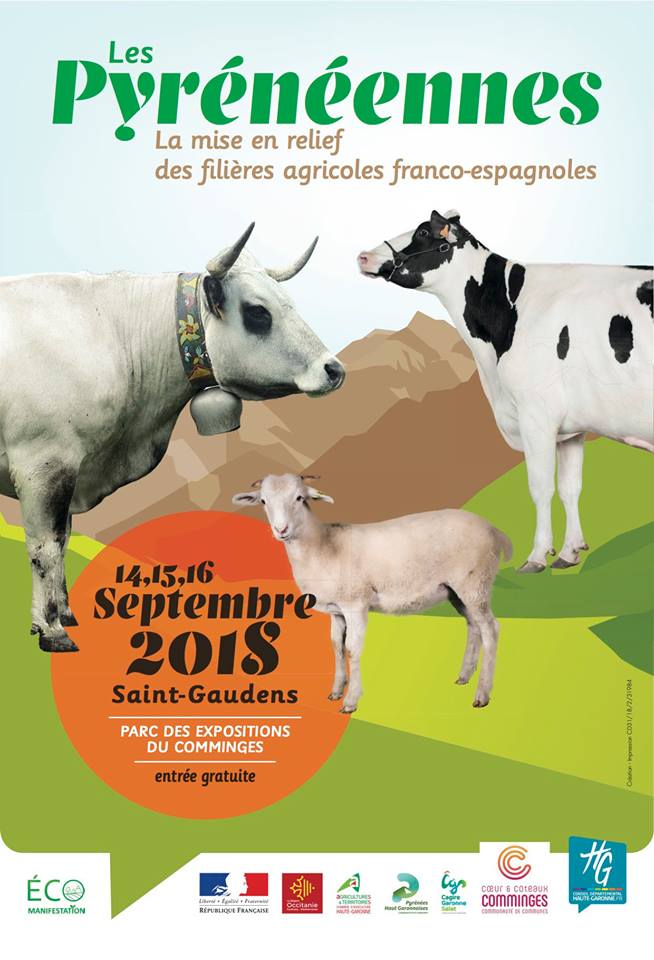 Les Pyrénéennes 2018 se préparent, réservez d'ors et déjà vos dates les 14, 15 et 16 septembre 2018